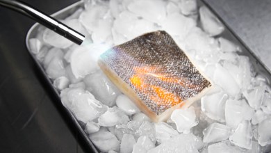 Photo of Aburi Technique for Fish